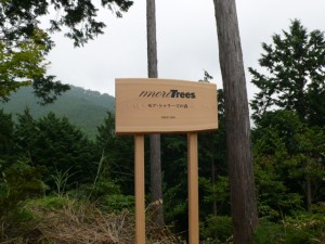 moreTreesの森第２号-高知県中土佐町